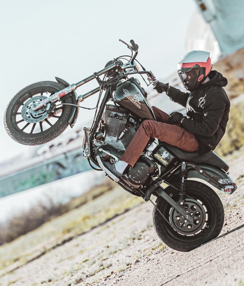 Workhorse Collection Image 1